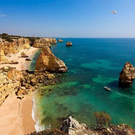 Daire In The Center Of Carvoeiro *